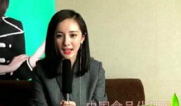 陈晨最新爆料消息视频,揭秘事件背后惊人真相