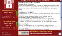 法国病毒爆料视频大全最新,真相与谣言的交织