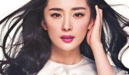 刘亦菲郑爽最新爆料,娱乐圈风云再起，真相揭秘！