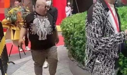 最新财神风爆料,揭秘财富密码，财富增长新趋势