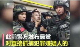 凉山紫英最新爆料事件,揭秘事件背后惊人真相