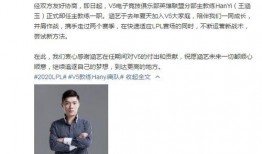 v5教练涵艺最新爆料,V5战队最新动态与备战策略