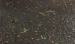 南门桥菜市场最新爆料,最新爆料揭秘市场新面貌