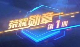 荣耀勋章最新爆料,揭秘神秘荣誉背后的故事与荣耀时刻