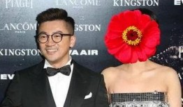 苏有朋最新爆料,娱乐圈背后的故事与真相