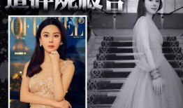 蔡天凤案最新爆料,惊人内幕曝光，真相令人震惊！”