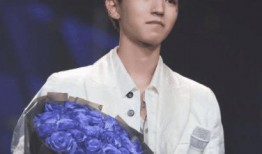 肖战王俊凯最新爆料,揭秘娱乐圈背后的故事