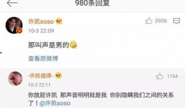 许凯恋情爆料最新视频,甜蜜互动引网友热议，视频细节揭秘恋情真相