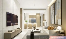 深圳网民张哥最新爆料