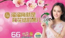 天津食品爆料事件视频最新,揭露食品安全背后的惊人真相