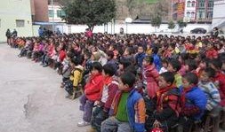 太平中心小学爆料新闻最新,校园活动精彩纷呈，师生共庆欢乐时光