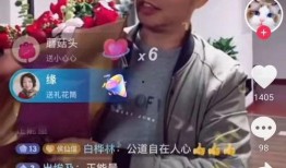 最新爆料许敏带货视频,揭秘带货背后的真实故事