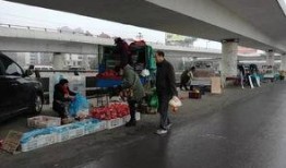 南门桥菜市场最新爆料,最新爆料揭秘市场新面貌