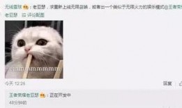 策划八哥爆料视频大全最新,揭秘视频大全背后的精彩故事