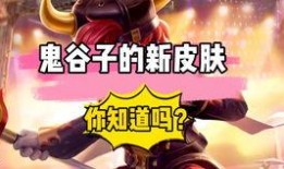 元哥六元皮最新爆料,行业变革背后的秘密