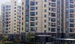 浦东新高苑最新爆料消息