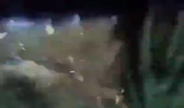 特拉斯最新爆料视频播放,内幕细节大曝光