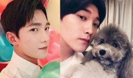 刘大锤爆料最新牛骏峰,牛骏峰最新动态揭秘