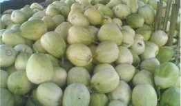 新瓜最新爆料河北,揭秘背后惊人真相