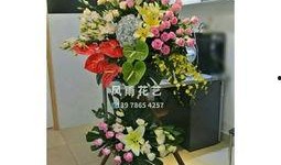 唐山花店爆料案件最新,揭开背后惊人真相