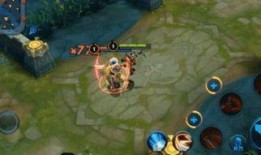 荆轲皮肤爆料最新视频,神秘刺客再临，华丽特效引期待