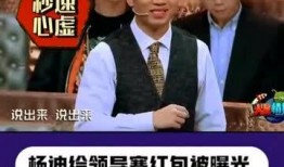 直播爆料杨迪最新,揭秘娱乐圈幕后故事