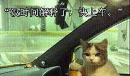 二驴和阿伊最新爆料,揭秘娱乐圈幕后真相