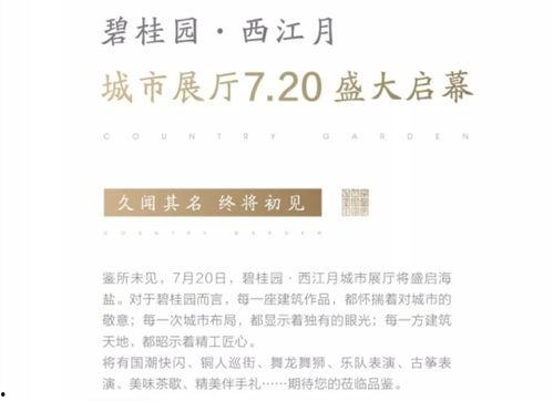 碧桂园最新事件爆料新闻,揭秘背后真相与影响