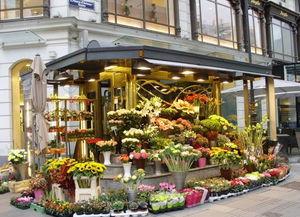 唐山花店爆料案件最新,揭开背后惊人真相