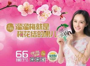 天津食品爆料事件视频最新,揭露食品安全背后的惊人真相