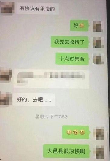 如何看最新爆料信息内容,深度解析事件背后真相