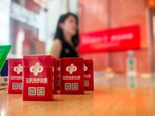 济南彩票最新爆料,揭秘大奖得主神秘身份及中奖秘诀